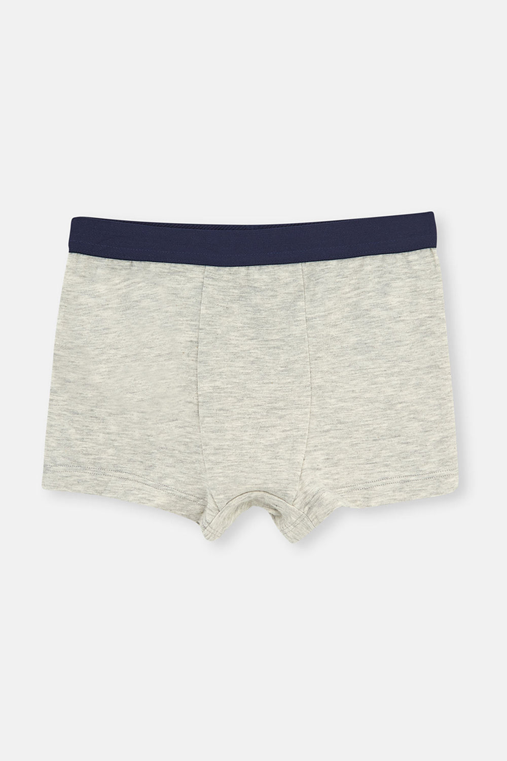 Gri - Mint 2'li Boxer