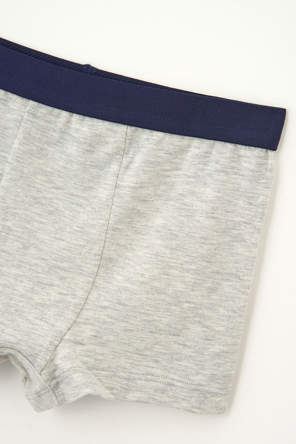 Gri - Mint 2'li Boxer